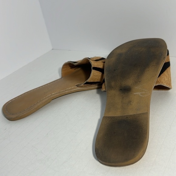 Coconuts by Matisse Cabana Slide size 6 - Picture 3 of 3